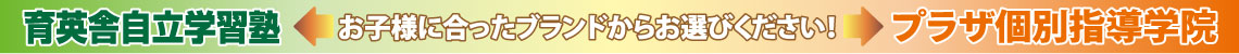 育英舎自立学習塾・プラザ個別指導学院お子様にあったブランドからお選びください。カウンセリング（学力診断＋特徴の分析）で最適なプランをご提案します！